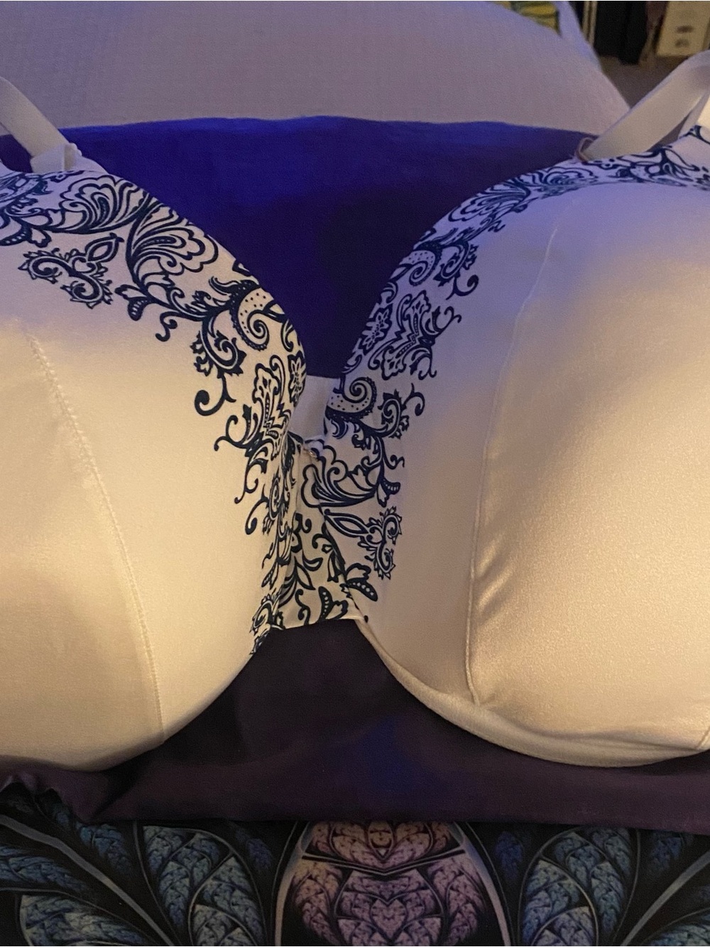 Cacique Cream Bra with Navy Floral Lace